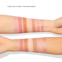 HOLLYWOOD INSTANT LOOK IN A PALETTE