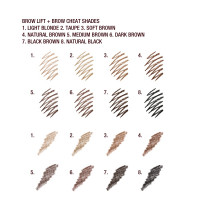 SUPERMODEL BROWS IN SECONDS